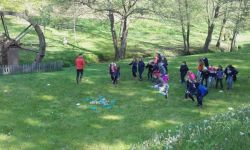 Classe Decouverte   058